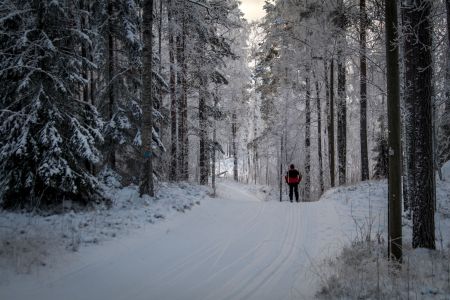 Ski tracks right by the Hostel